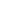 俄罗斯西伯利亚国立艺术学院 国际化科研环境